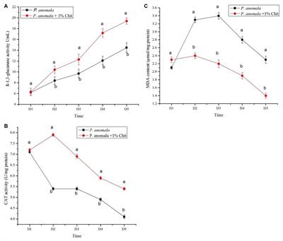 Pichia anomala Induced With Chitosan Triggers Defense Response of Table Grapes Against Post-harvest Blue Mold Disease